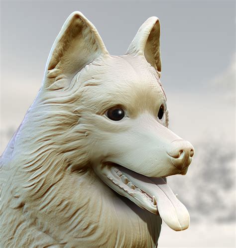 Artstation American Eskimo 3d Sculpting With Stylized Fur