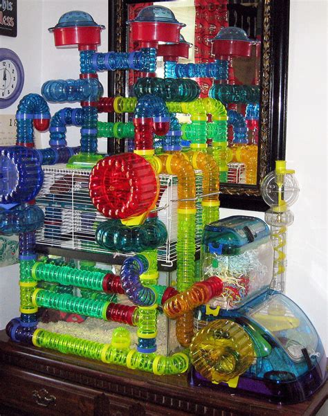 Choosing Hamster Cages And Modular House Habitats