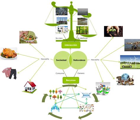 Desarrollo Sustentable Mapa Conceptual De Escenario Natural Images