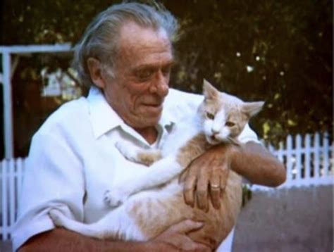 A Year Of Being Here Charles Bukowski My Cats