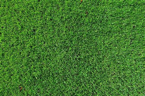 Grass Turf Lawn Background Texture Green Lush Field Wallpaper