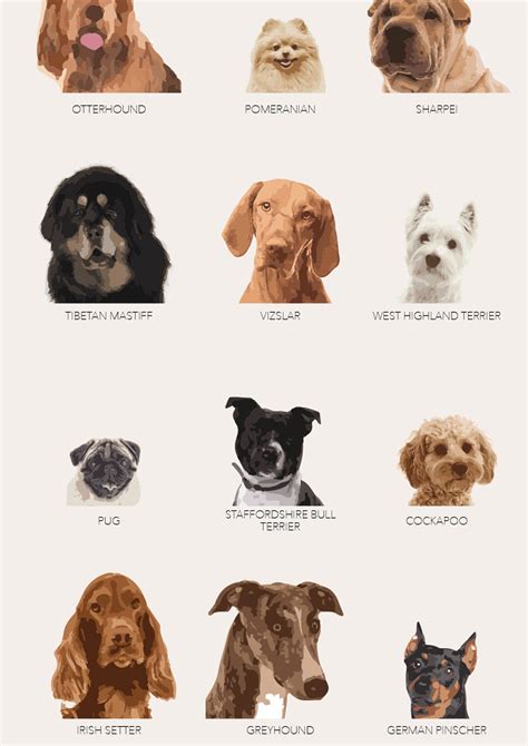 Dog Breeds Poster Fun Print Featuring 42 Breeds Of Dogs Etsy