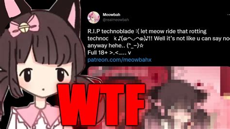 Meowbahh Made Rule 34 Of Her And Technoblade Youtube
