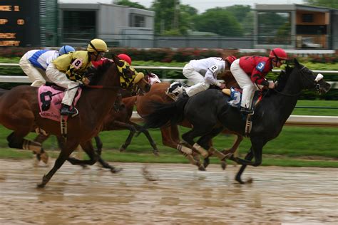 File:Horse race, Churchill Downs 2008-04-18.jpg - Wikipedia, the free ...