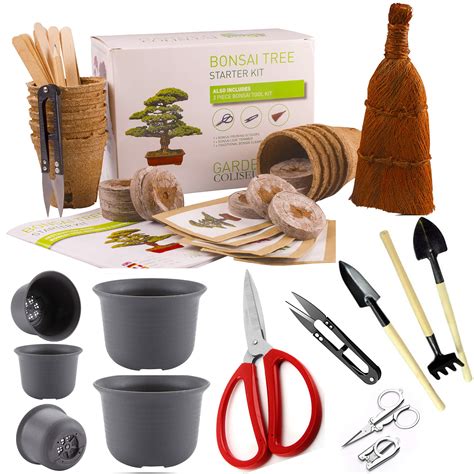 Buy Bonsai Tree Kit Grow Your Own Bonsai Trees T Set Big