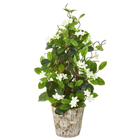 25 Stephanotis Artificial Climbing Plant In Weathered Planter Nearly