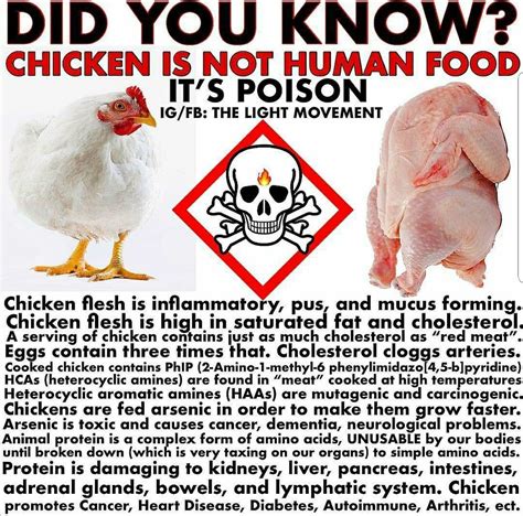 Chicken Is Poison Health Facts Health Remedies Health And Nutrition