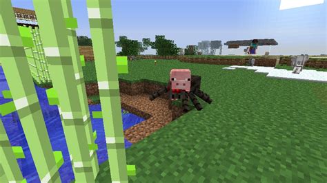 Spider Pig Spotted Minecraft Blog