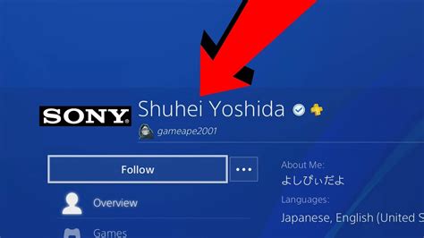 Looking At The Owner Of Sony Ps4 Profile Youtube
