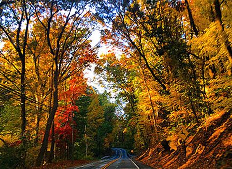 Best Road Trips For Fall Foliage In Pennsylvania