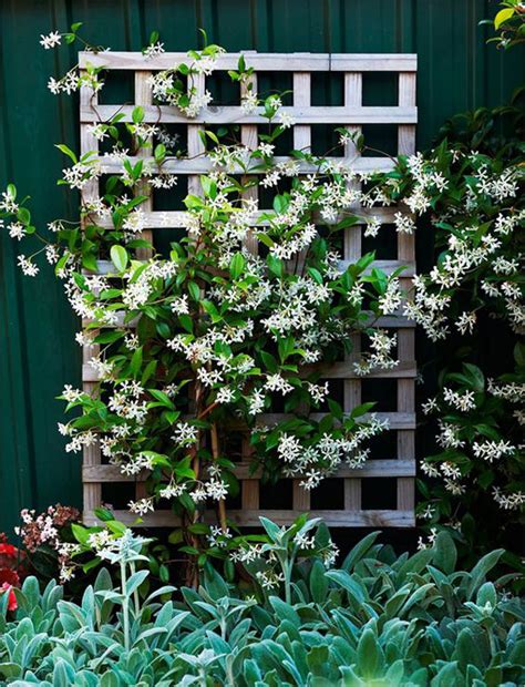 Chic garden trellis for contemporary backyard landscape 8. 25 Beautiful DIY Trellis For Small Garden | Home Design And Interior