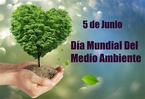De Junio D A Mundial Del Medio Ambiente Canal M Xico
