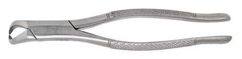 Extracting Forceps 23 Lower Cowhorn American Dental Accessories Inc