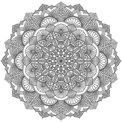 Complex Mandala With Vegetal And Floral Elements Very Difficult