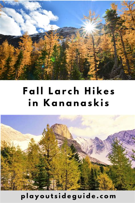 Fantastic Fall Larch Hikes In Kananaskis Play Outside Guide Canada