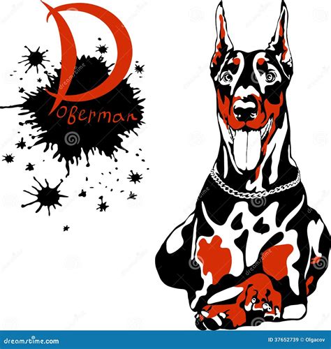 Vector Dog Doberman Pinscher Breed Stock Vector Illustration Of