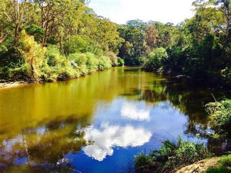 Lane Cove National Park