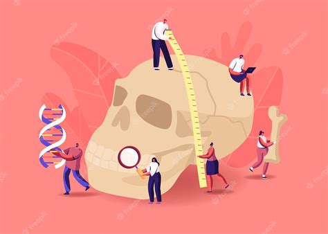 Premium Vector Ancient Anthropology Studying Illustration