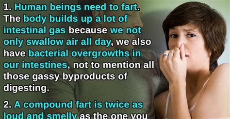 20 Intellectual Facts About Farts You Definitely Need To Know Before