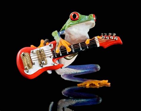 Electric Frog Real Live Frog And Miniature Guitar Fender