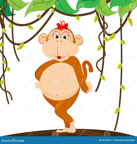 Cute Girl Monkey Stock Image Image 33722241