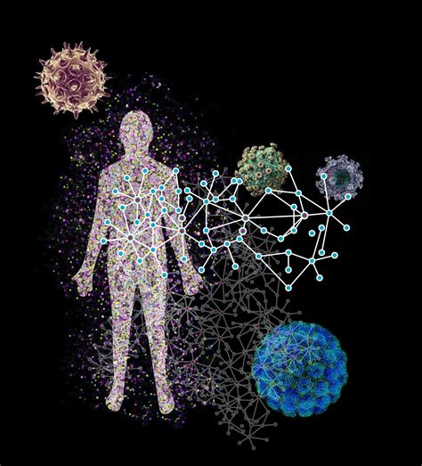 There are two ways in which a virus could infect a cell: How Viruses Infect Humans Shown in Detailed Map