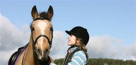 Choosing A Riding Horse Type Of Horse Blue Cross Pet Advice Types