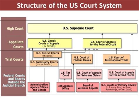 Us Court System Diagram Quizlet