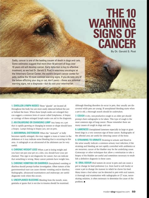 Osteosarcoma in dogs is a primary bone tumour. Signs of canine cancer | Canine Cancer | Pinterest