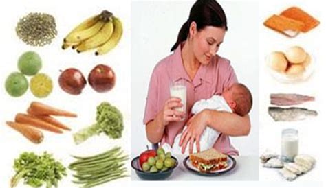 Diet Ibu Menyusui Bayi 1 Tahun Homecare24