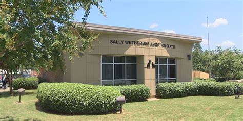 New No Kill Animal Shelter Opens In Albany