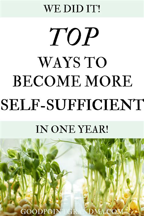 15 Basic Ways To Become More Self Sufficient In One Year How We Did It