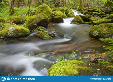 A White Water Stream Runs Over Green Moss And Rocks Stock Image