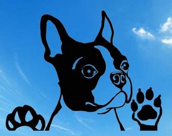 50+ Free Boston Terrier Svg File Pictures Free SVG files | Silhouette
