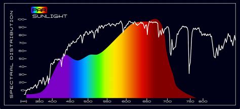 Led Light Therapy For Skin Whitening Nowmi