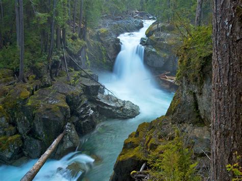 Mount Rainier National Park Usa Silver Falls Ohanpecosh