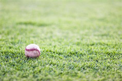 Baseball In The Grass Free Photo Download Freeimages