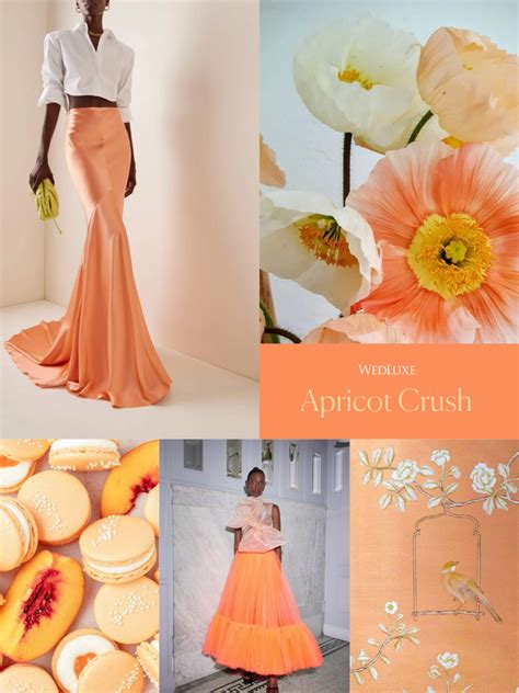 Pantone Color Of The Year 2024 Apricot Crush Image To U
