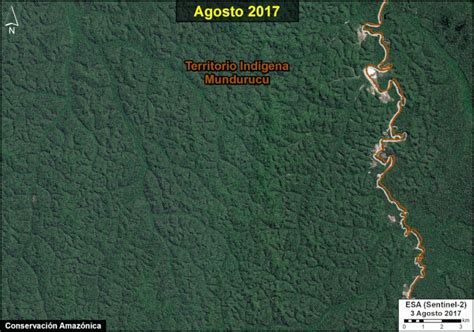 Gold Mining Threatens Indigenous Forests In The Brazilian Amazon