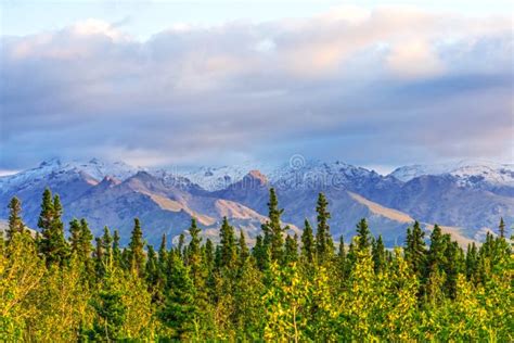 Alaska Mountain Range And Forest Pacific North West Denali National