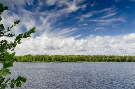 Lake Finland Blue Sky White Clouds Coniferous Forest Landscape Stock