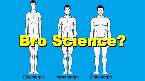 Should You Train For Your Body Type Somatotype Ecto Meso Endo