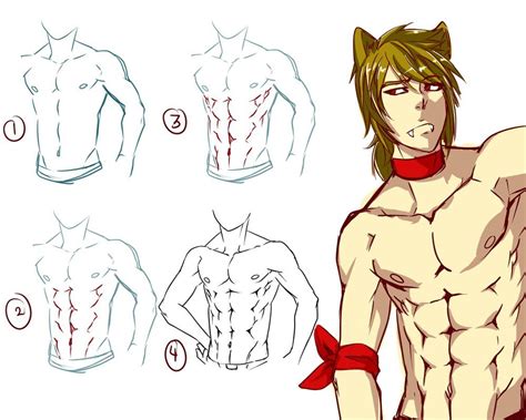 How To Draw Abs Anime Even If You Don T Care The Abs And The Pectorals Are The Muscles Known