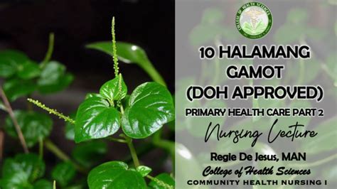 10 Halamang Gamot I Chn I Primary Health Care I Module 3 Part 2 Youtube
