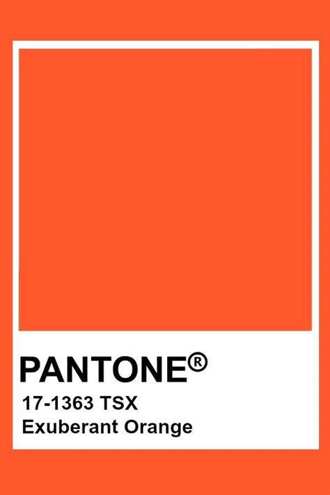Pantone Exuberant Orange Pantone Colour Palettes Pantone Orange