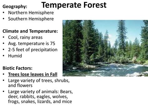 Ppt Temperate Forest Powerpoint Presentation Free Download Id2171438