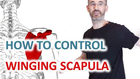 How To Fix Scapular Winging Daily Situations To Fix To Improve Armpit And Shoulder Blade