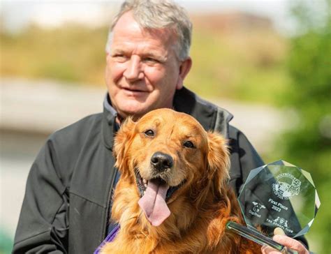 Buster The Golden Retriever Named Holyroods Top Dog Bbc News