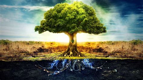 The sea of trees год выпуска: Merkaba - Divine Mother Tree - YouTube