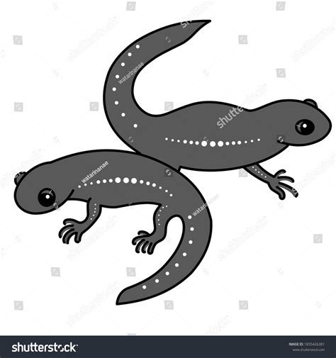 Two Salamanders Painted Simple Lines Their Stock Vector Royalty Free